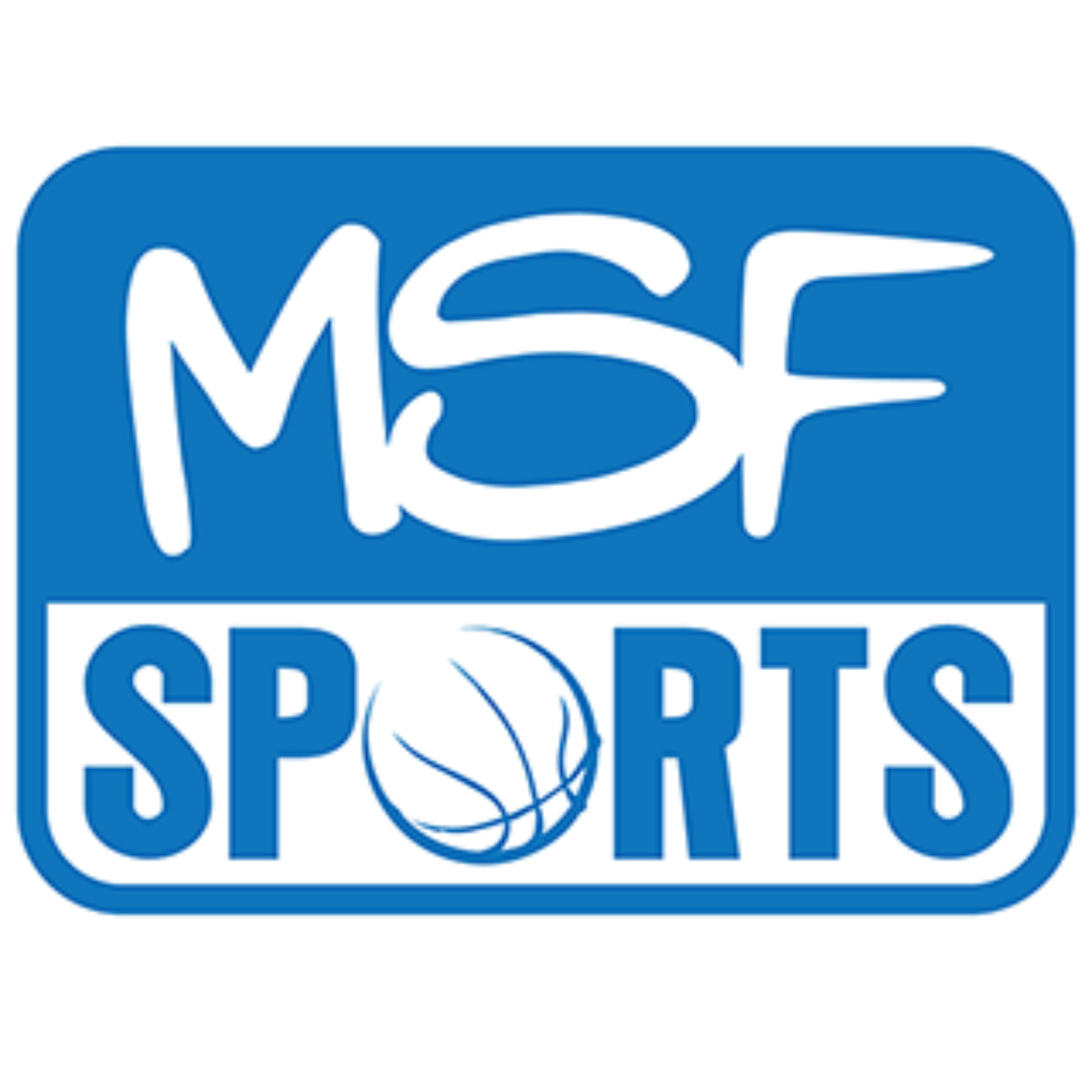 How Much Does a Basketball Court Cost? (Price Breakdown)