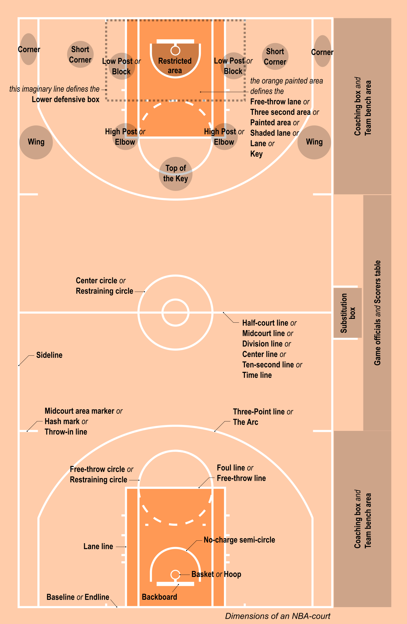 arrangere muskel Trække ud Basketball Court Dimensions Guide (Australia) FIBA & NBA Measurements