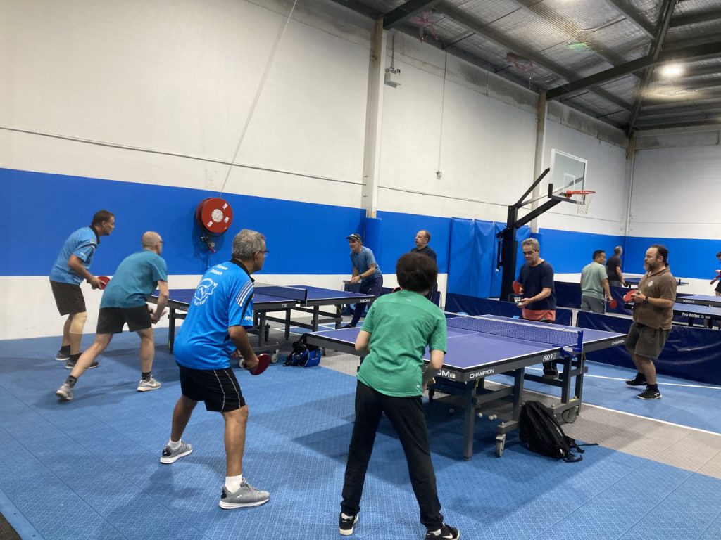 Pro Table Tennis Flooring by MSF Sports